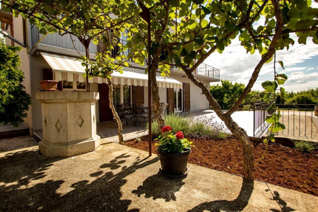 Herak - Smoljan Rovinj Ngoại thất bức ảnh